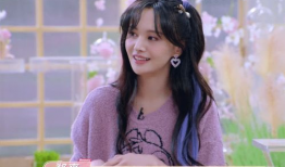 吃瓜娱乐圈郑爽,娱乐圈的瓜田传奇